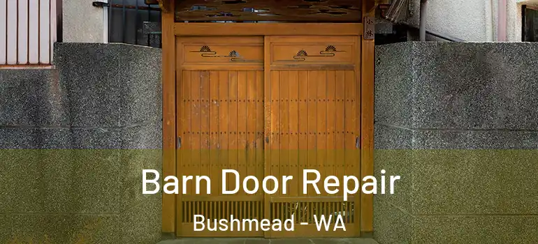 Barn Door Repair Bushmead - WA