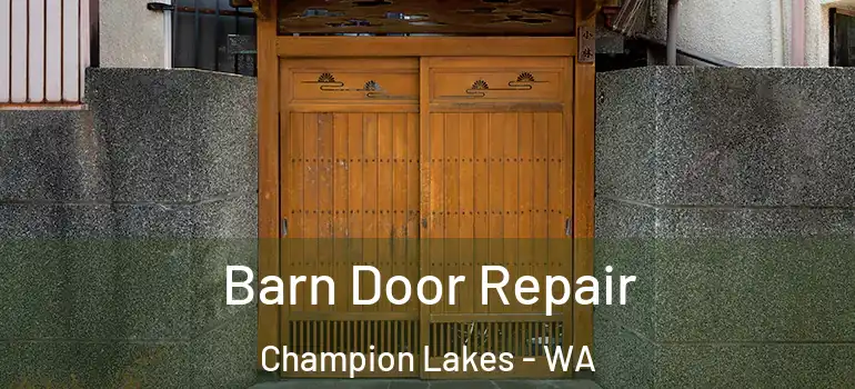 Barn Door Repair Champion Lakes - WA
