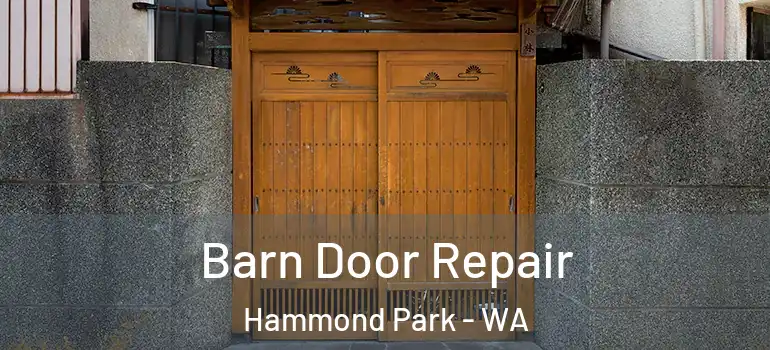 Barn Door Repair Hammond Park - WA
