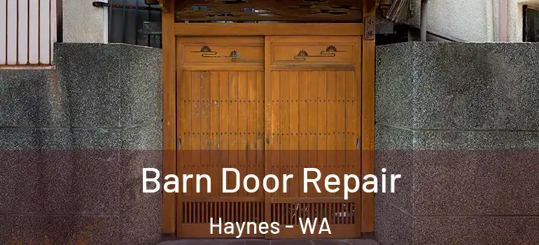 Barn Door Repair Haynes - WA