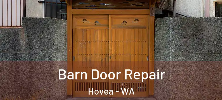 Barn Door Repair Hovea - WA