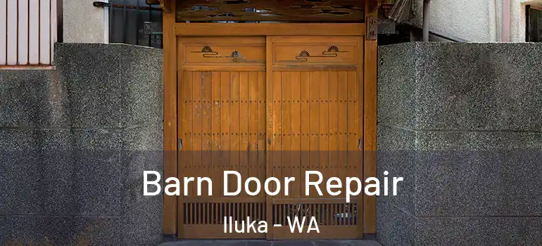 Barn Door Repair Iluka - WA