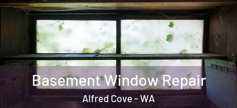  Basement Window Repair Alfred Cove - WA