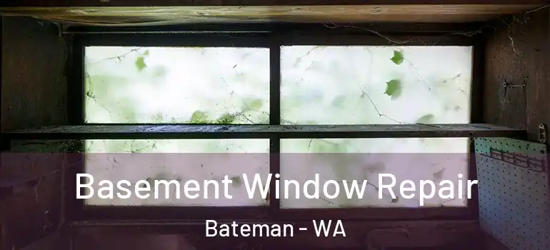 Basement Window Repair Bateman - WA