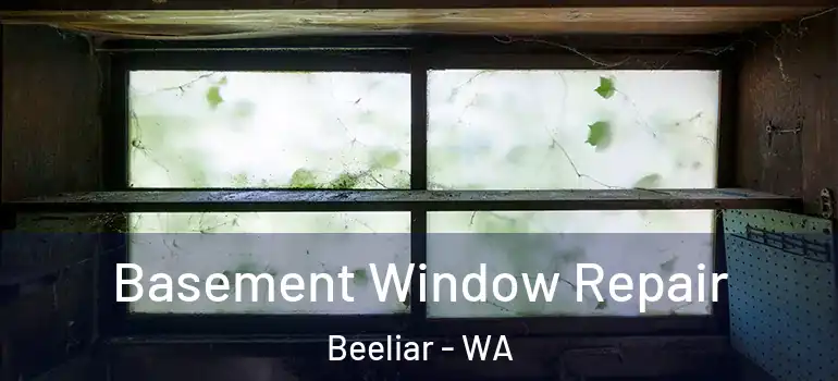 Basement Window Repair Beeliar - WA