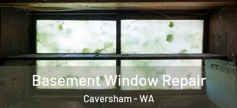  Basement Window Repair Caversham - WA