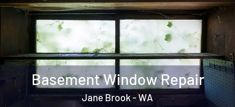 Basement Window Repair Jane Brook - WA