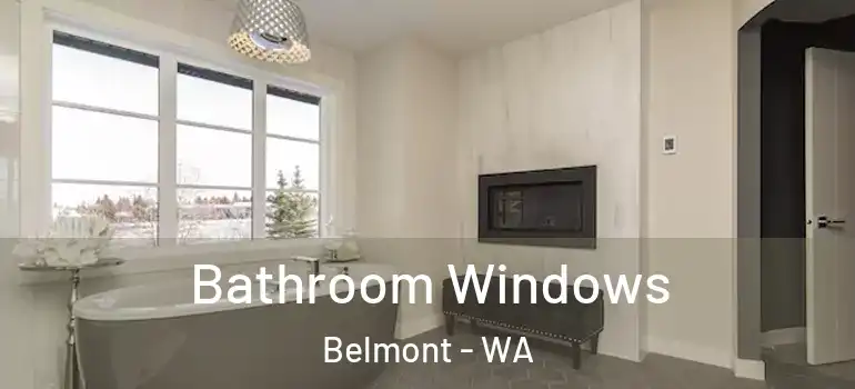  Bathroom Windows Belmont - WA