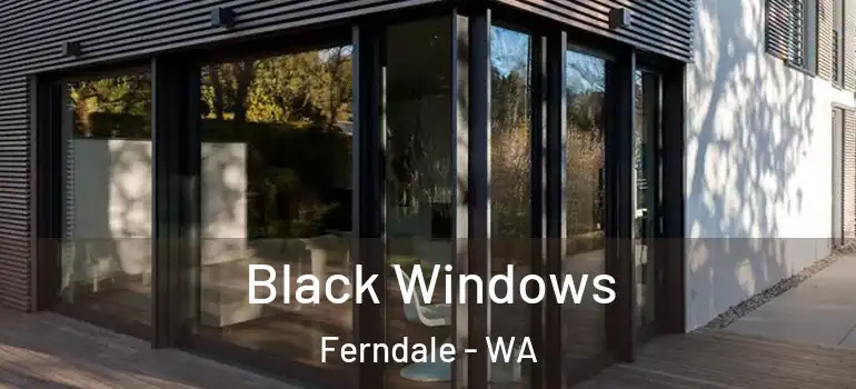 Black Windows Ferndale - WA