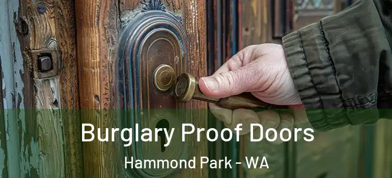 Burglary Proof Doors Hammond Park - WA