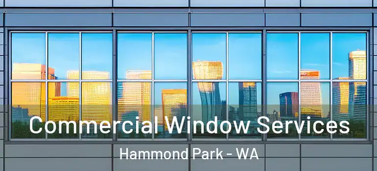  Commercial Window Services Hammond Park - WA