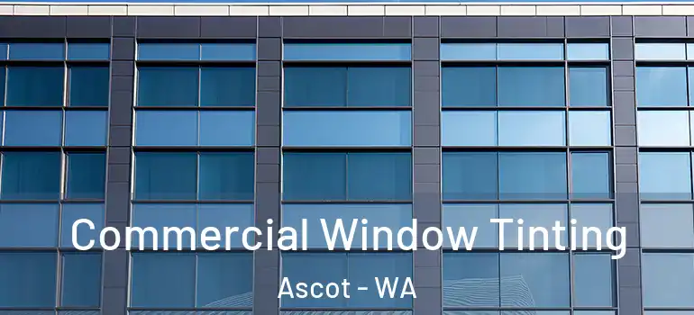 Commercial Window Tinting Ascot - WA