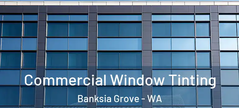 Commercial Window Tinting Banksia Grove - WA