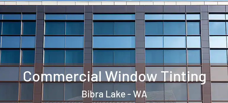  Commercial Window Tinting Bibra Lake - WA