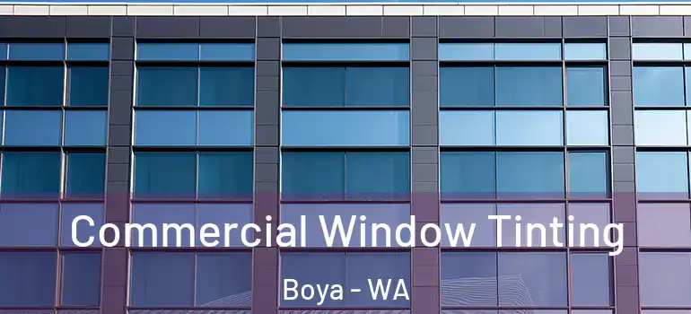  Commercial Window Tinting Boya - WA