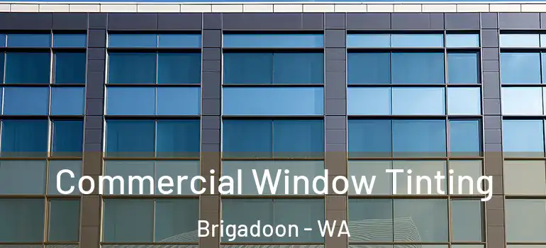 Commercial Window Tinting Brigadoon - WA