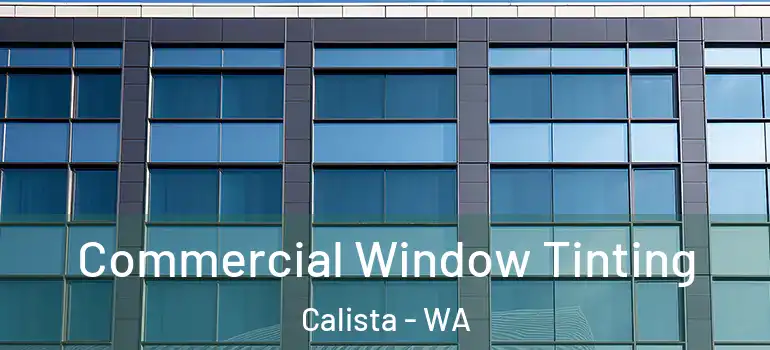 Commercial Window Tinting Calista - WA