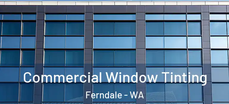 Commercial Window Tinting Ferndale - WA