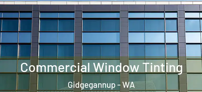  Commercial Window Tinting Gidgegannup - WA