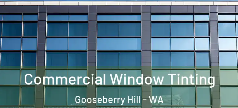  Commercial Window Tinting Gooseberry Hill - WA
