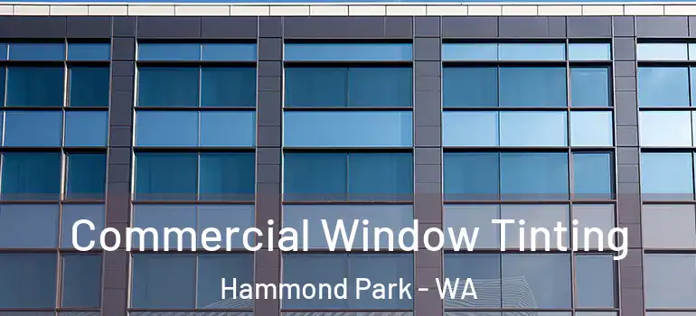 Commercial Window Tinting Hammond Park - WA