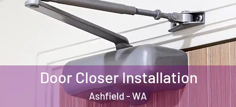 Door Closer Installation Ashfield - WA