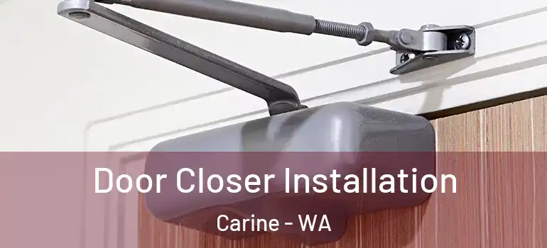 Door Closer Installation Carine - WA