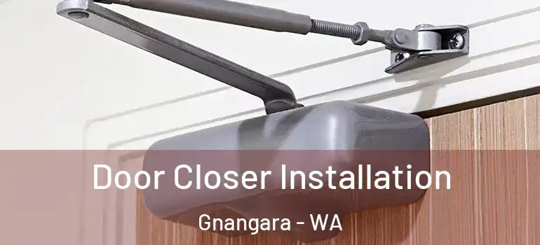  Door Closer Installation Gnangara - WA