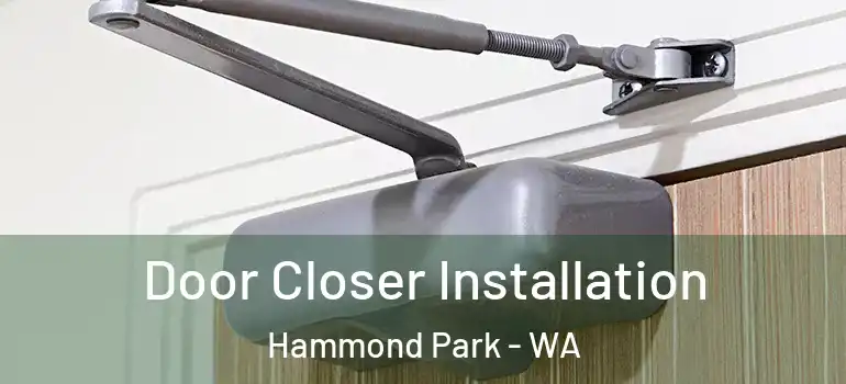 Door Closer Installation Hammond Park - WA