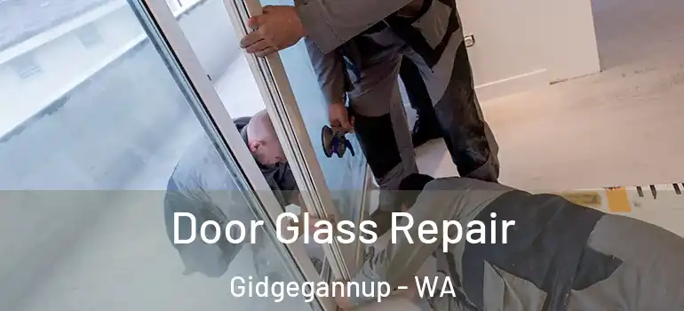 Door Glass Repair Gidgegannup - WA