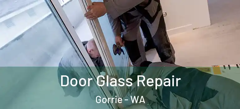 Door Glass Repair Gorrie - WA