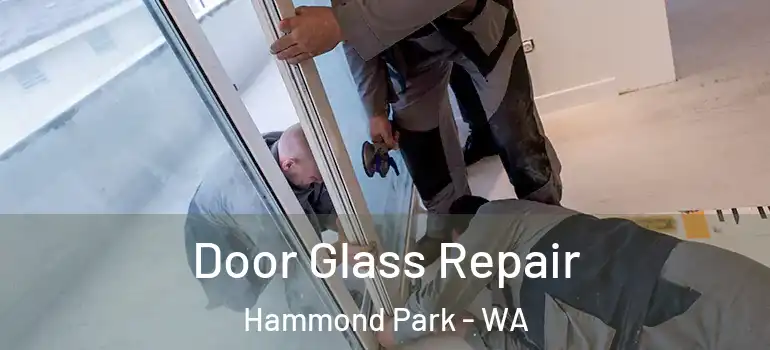 Door Glass Repair Hammond Park - WA