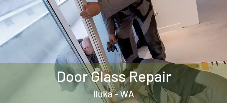 Door Glass Repair Iluka - WA