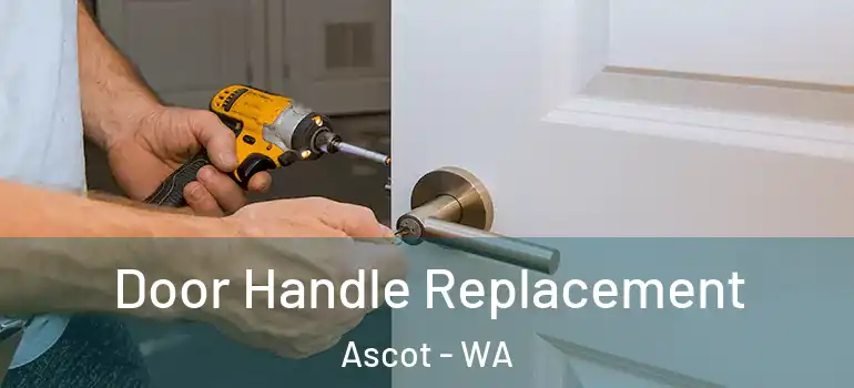Door Handle Replacement Ascot - WA