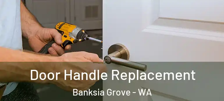 Door Handle Replacement Banksia Grove - WA