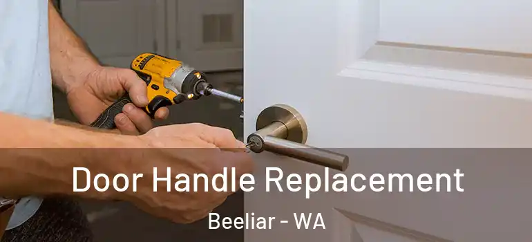  Door Handle Replacement Beeliar - WA