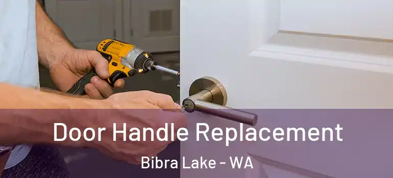  Door Handle Replacement Bibra Lake - WA