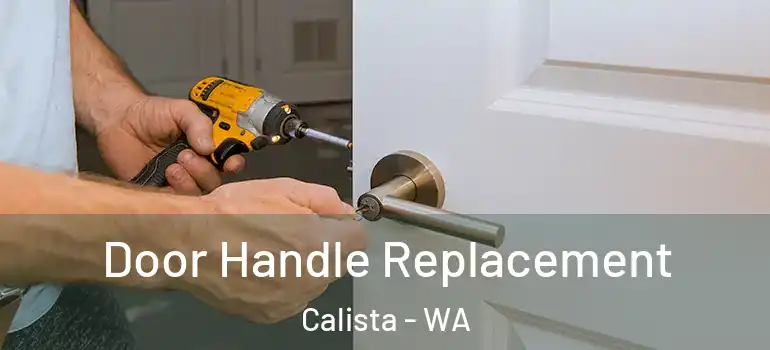 Door Handle Replacement Calista - WA