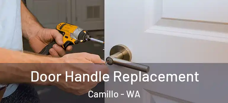  Door Handle Replacement Camillo - WA