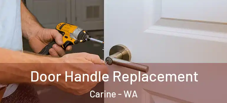 Door Handle Replacement Carine - WA