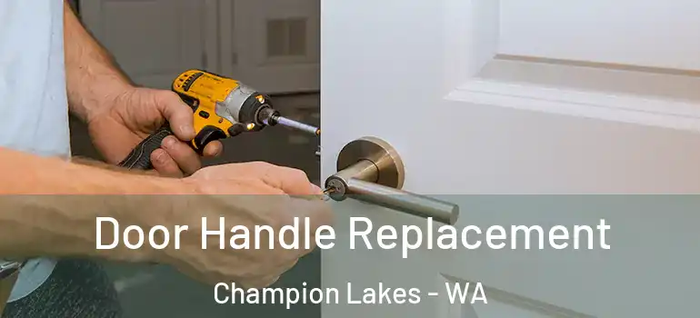 Door Handle Replacement Champion Lakes - WA