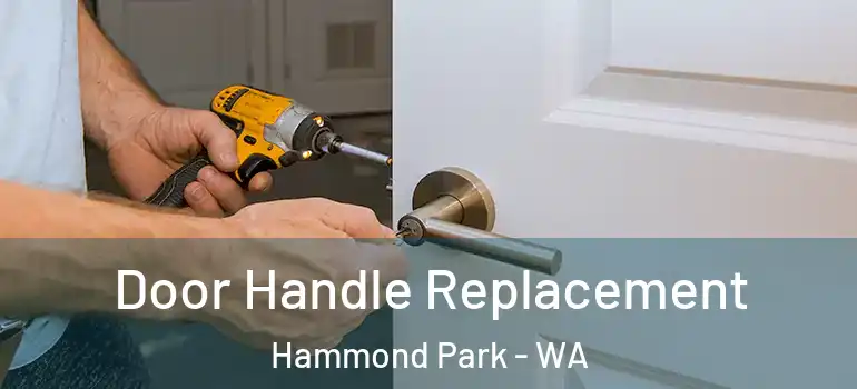 Door Handle Replacement Hammond Park - WA