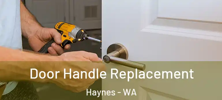 Door Handle Replacement Haynes - WA