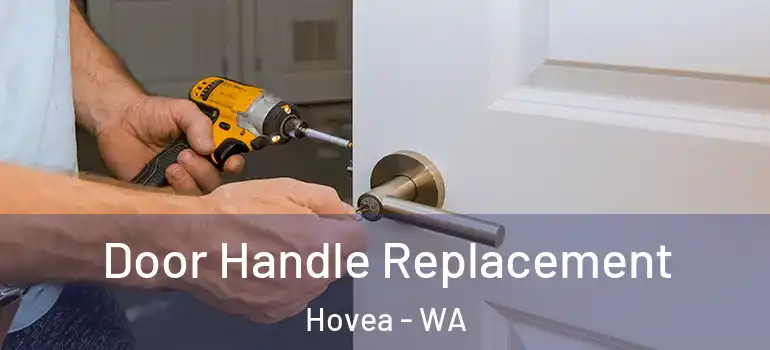 Door Handle Replacement Hovea - WA