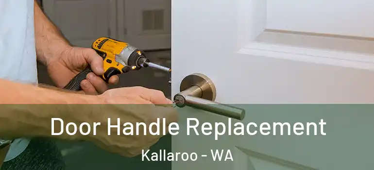 Door Handle Replacement Kallaroo - WA