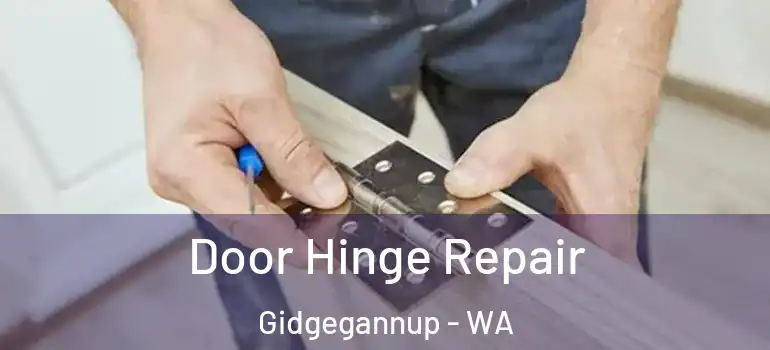  Door Hinge Repair Gidgegannup - WA