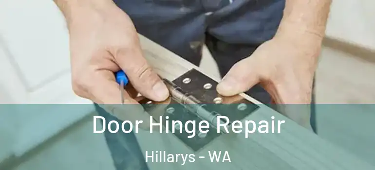  Door Hinge Repair Hillarys - WA