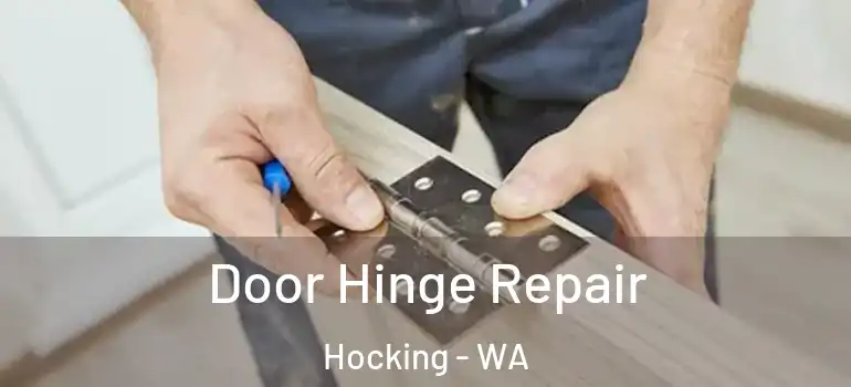 Door Hinge Repair Hocking - WA