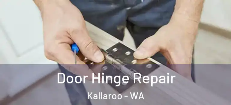 Door Hinge Repair Kallaroo - WA