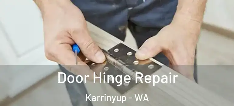  Door Hinge Repair Karrinyup - WA